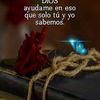 deyaniragarcia582