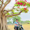 lasternoyon