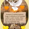 crisrodriges6
