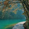 hassanabbas6012assa
