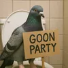 Goon Pigeon