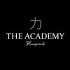 the.academyblueprint