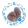 deegordon870