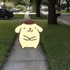 k4waii_r4n1