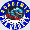 academia__pre_cadete