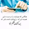 wafawaf41