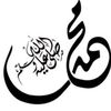 medo.talat2