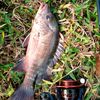 angler2222