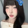 nicutephomaique08