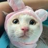 ทาโร่ตื่นตอนไหน