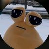 akdncd