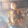 longzhanag
