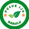 Pucuk iJo  BABULU