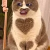 man_boo_