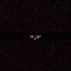 rind_albalushi14