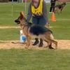 aztectheshowgsd