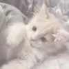iamsoraaaaa_