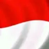habibk874