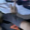animefan.117