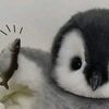swswaw