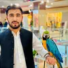 ahmaddawlatzai372