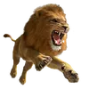 ridwaan.mcow