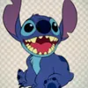 stich5058