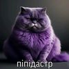 cemen.mihailov_2003