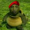 meme_suar