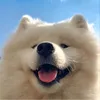 ka_mu02