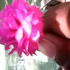 saddamhossain3233