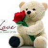 tloveyouh