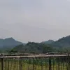 wellnewbie