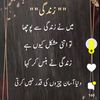 muqaddas.naeem376