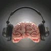 musicland.d