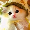 lisna_3658
