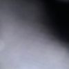 lilba245