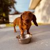 wienermanriley