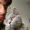 francesco__vitale