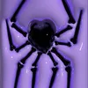 gabybiba62