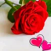 usera4luuvdor4