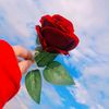 user6w2ae28d71