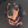 billymeck