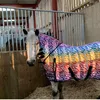 meet.my.pony.indie