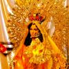 niubisherrera