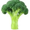 fw.broccol1