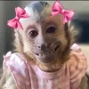 kamily_508