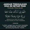 pjvyncf