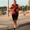 alexandrepascoalx