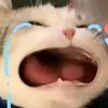 nammikenco101